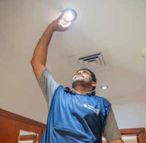 Our Professional Home Maintenance Services